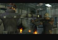 File:Gray-Fox.jpg