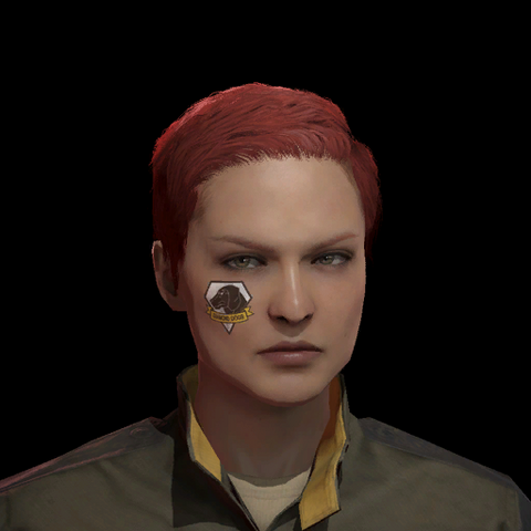 File:Ui face 682 0.png