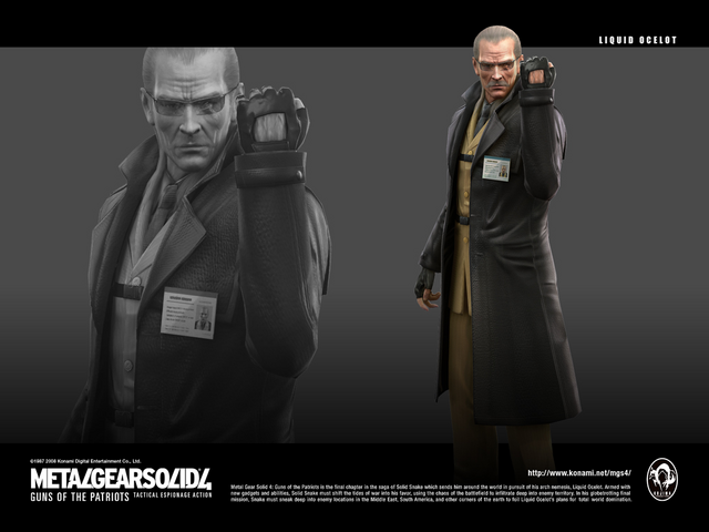 File:Mgs4 wp2 1024 768.png