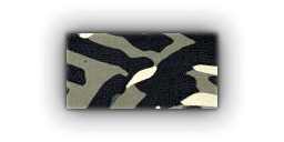 File:Fm7yLys.png
