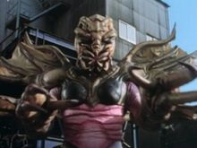 Wingar