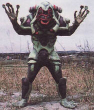 Cm-vi-hedogross