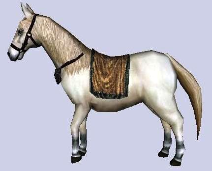 File:Pony.jpg