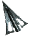 Strely
