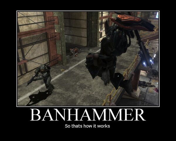File:Blizzard-bans-350000-hackers-cheaters-battlenet-banhammer.jpg