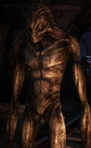 File:Dark ones m2033.jpg