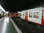 Reina Elisenda.jpg