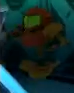 DecoyModel.png
