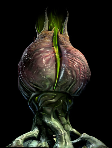 File:Mprime 14 big.jpg