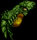 Draygon boss