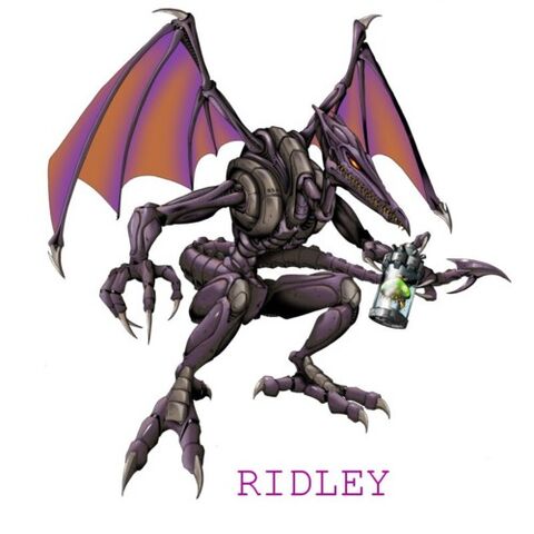 Datei:Ridley 2.jpg
