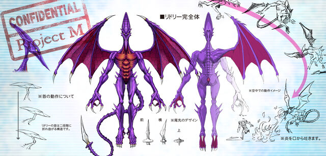 File:Adult Ridley.jpg