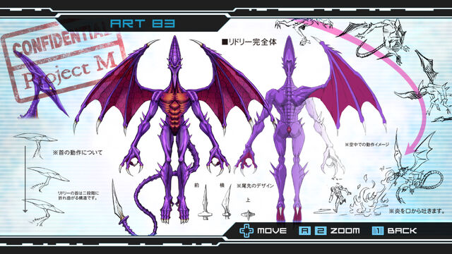 Файл:83Adult Ridley.jpg