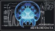 Metroiddata