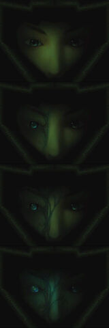 File:CorruptedFace.jpg