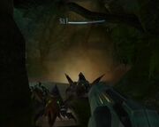 Canyon Cavern