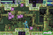 Beta Fusion 10