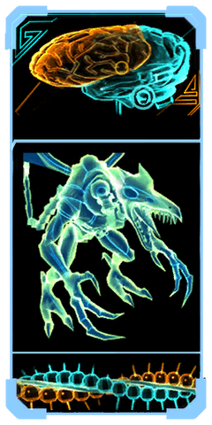 File:Meta Ridley brain scanpic.png