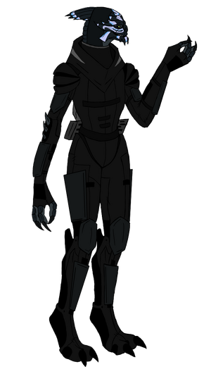 Aki-Armor