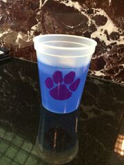 Cup