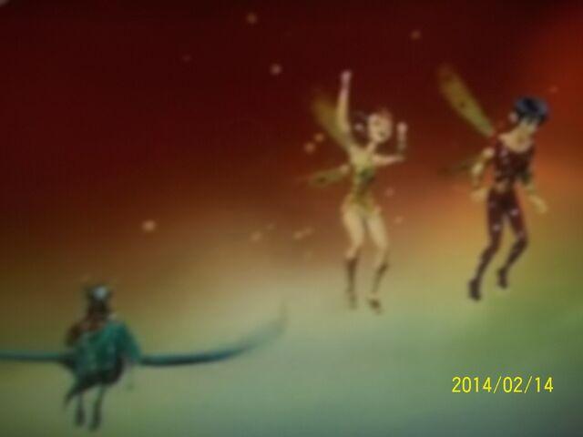 Plik:100 1695.jpg