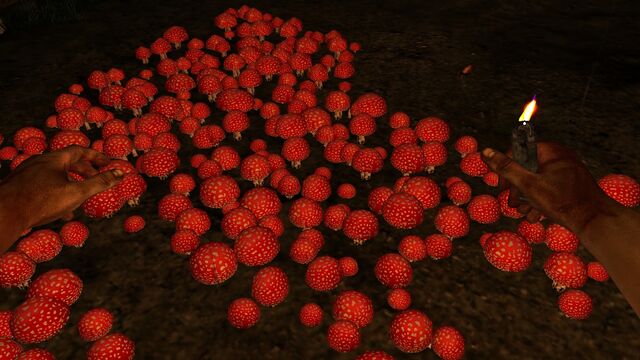 File:Red poisonous mushroom.jpg