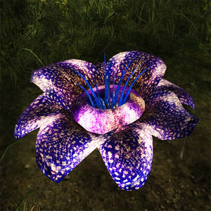 Giant bloom