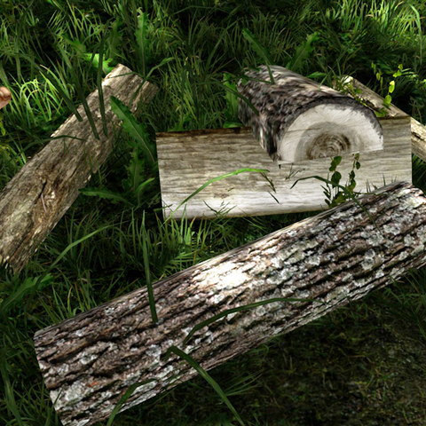 File:Logs.png
