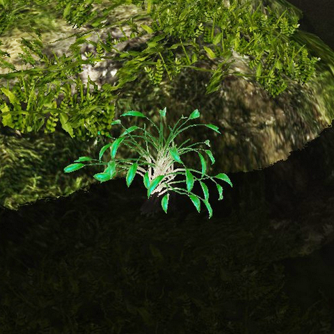 File:Bio-luminescent algae.png