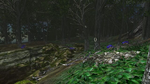 File:Blue-capped toadstool cache site.jpg