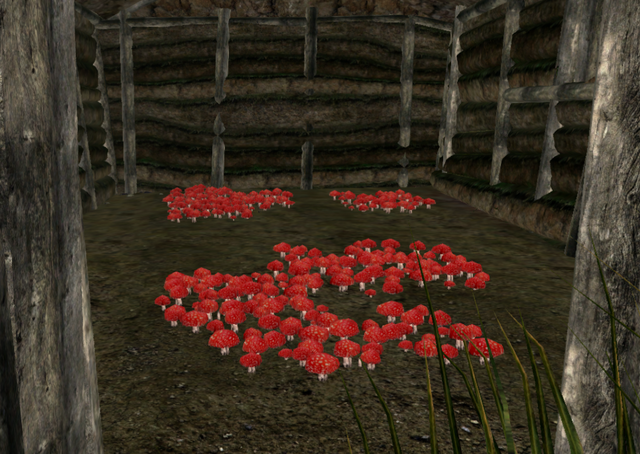 File:Inside Mushroom.png