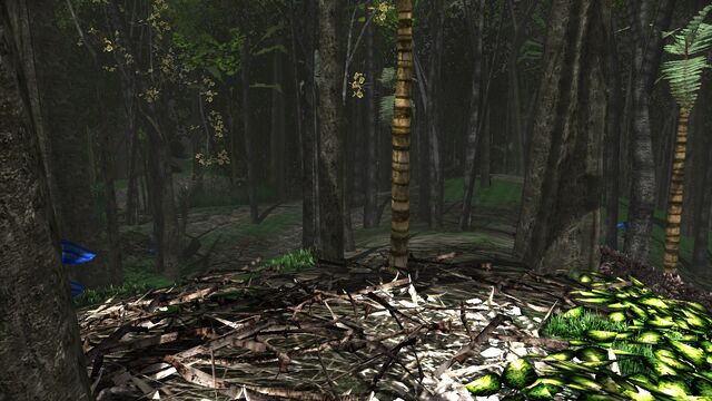 File:Blue scaley fungus above Tau.jpg