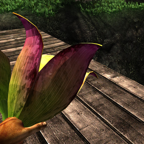 File:Bulbous fruit plant in hand.png