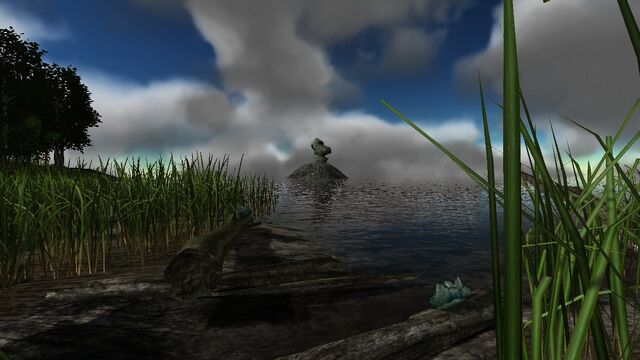 File:Landmark and fungus.jpg