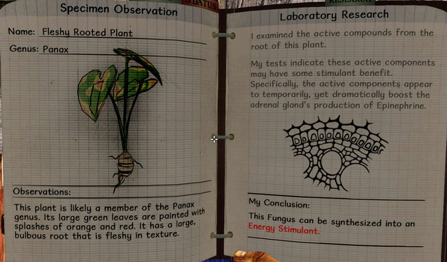 File:Fleshy rooted plant notes.png