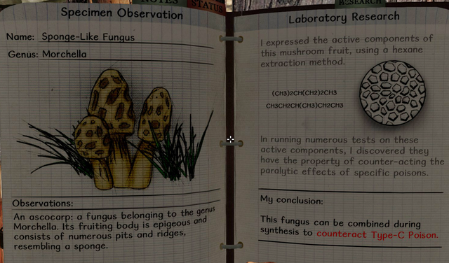 File:Sponge-like fungus notes.png