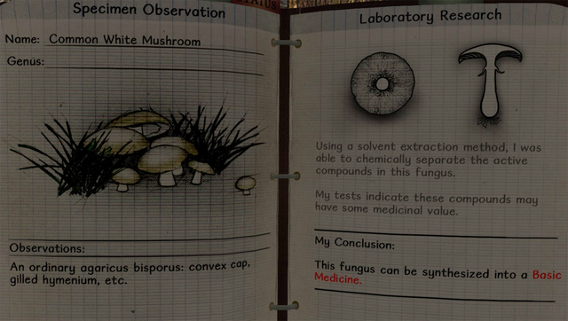 File:Common white mushroom notes.png