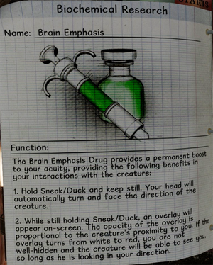 Brain emphasis notes