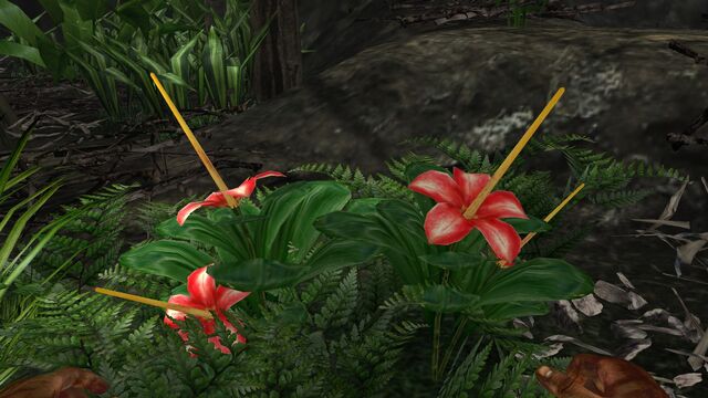 File:Large jungle flower.jpg