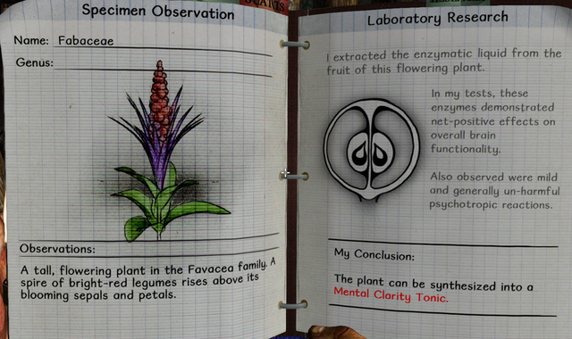 File:Fabaceae notes.png