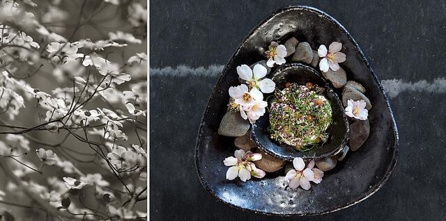 File:Meadowood food 0270.jpg