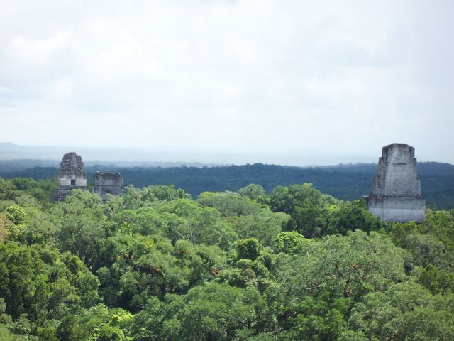 File:100 0546.jpg