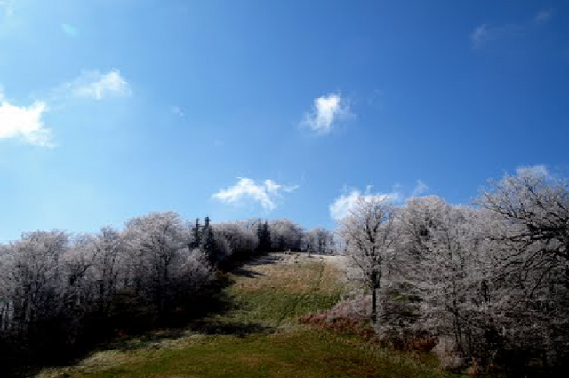 File:Homuoljka.png