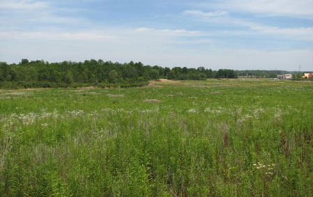 File:MCP.jpg