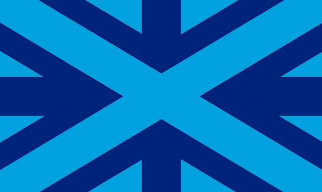 File:Flagconc1.png