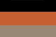 Afondale Flag 2