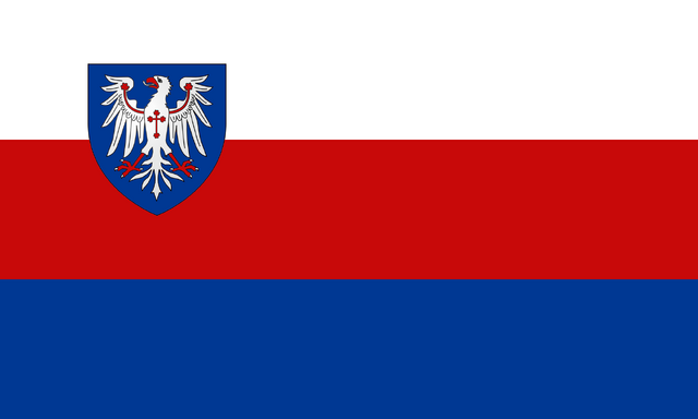 File:Sqflag.png