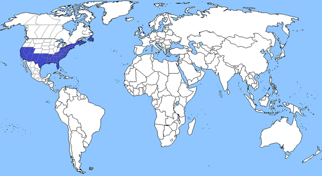 File:Rickhardotopian empire MAP.png