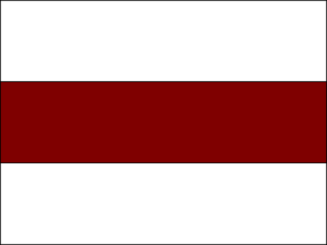 File:TheAuburnFlag.png