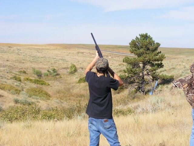 File:Auroraian clay pigeons.jpg